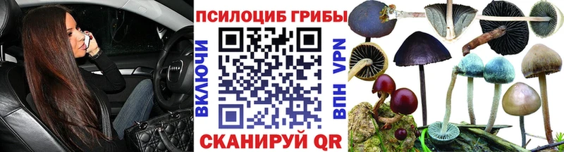 сайты даркнета состав  Горно-Алтайск  Галлюциногенные грибы MAGIC MUSHROOMS 